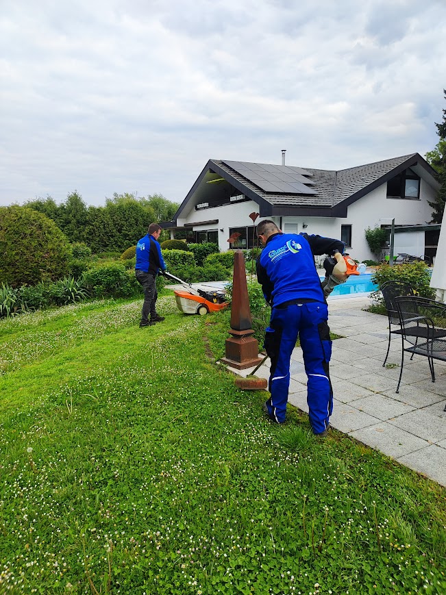 Gartenpflege Heilbronn professioneller Gartenservice