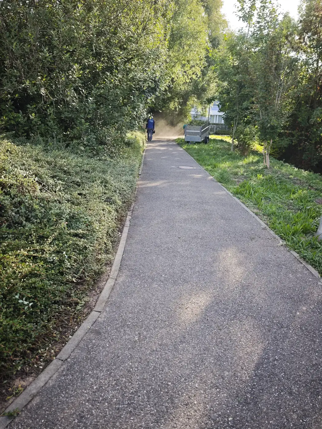 Freigeschnittener Fußweg nach der Grünpflege, Mitarbeiter bei der Reinigung