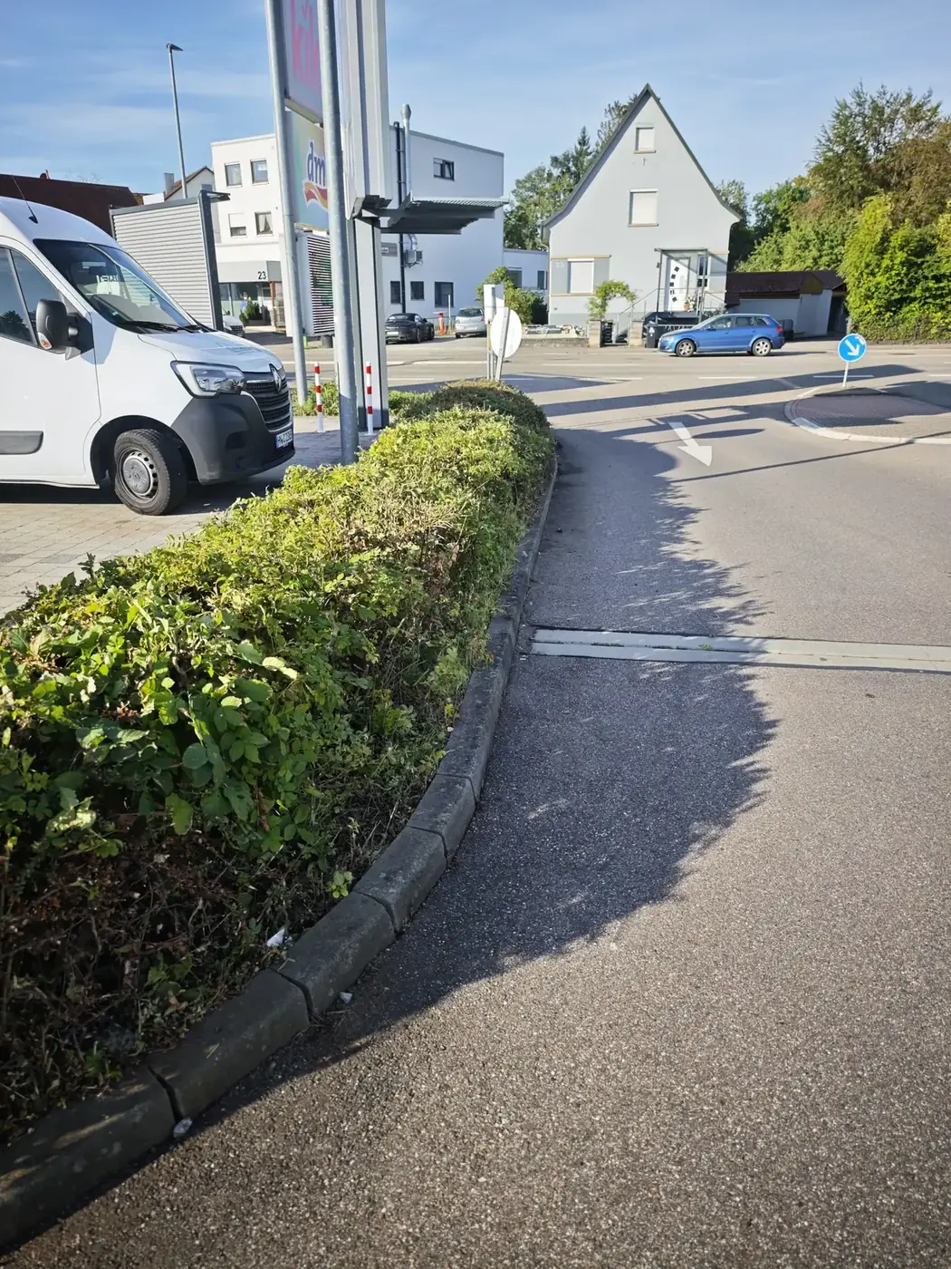 Gepflegtes Pflanzbeet an einem Parkplatz nach dem Rückschnitt