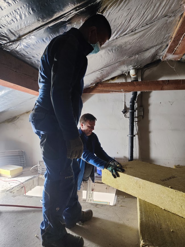 Dachreinigung und Renovierung