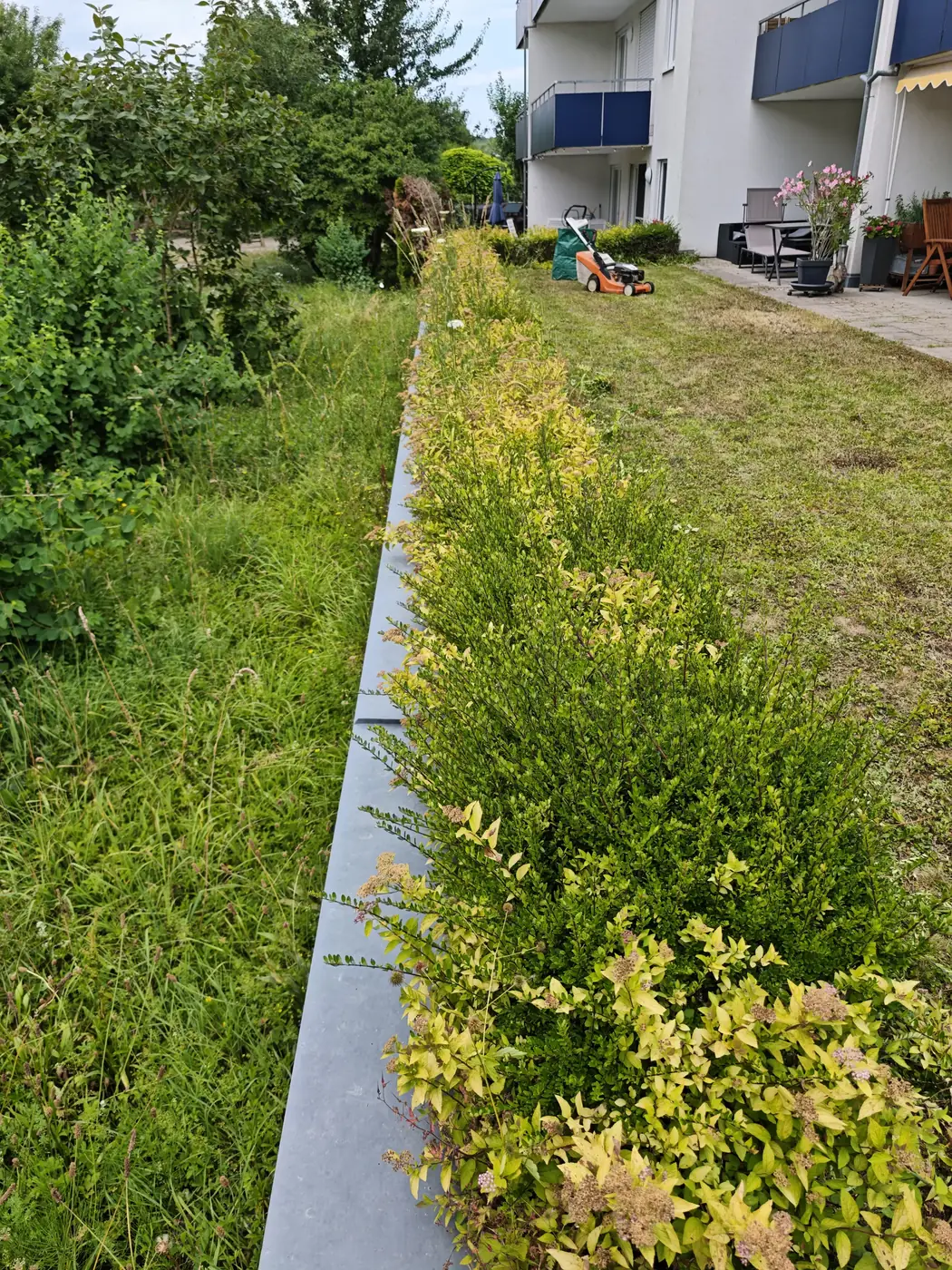 Strauchbeet und Rasenfläche einer Wohnanlage während der Grünpflege