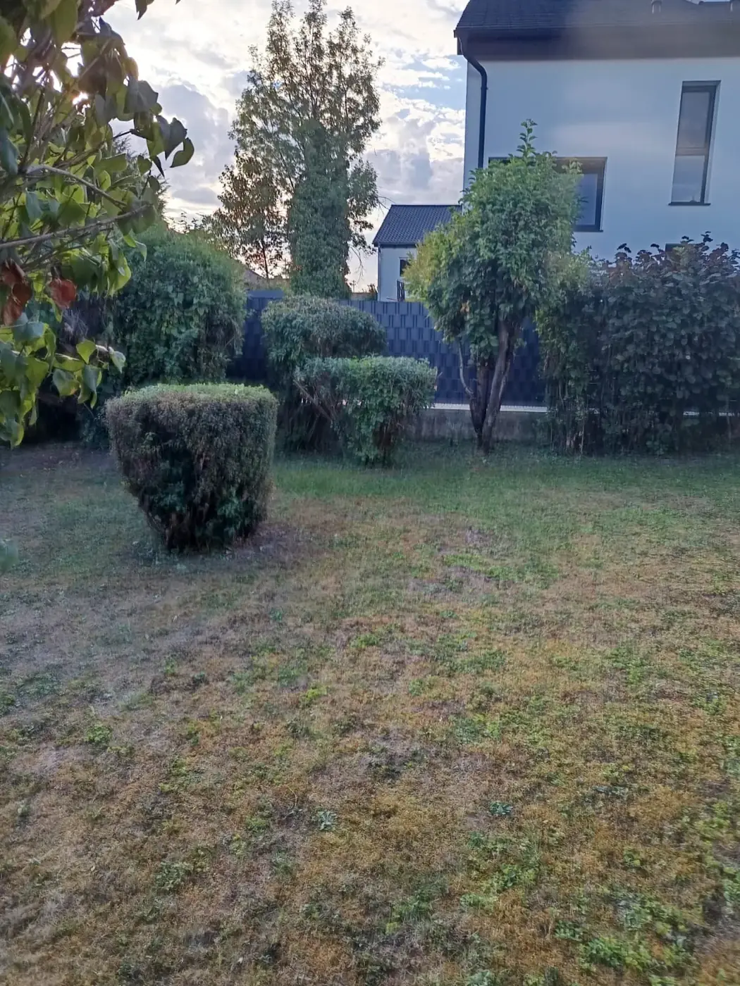 Privatgarten mit in Form geschnittenen Sträuchern nach der Gartenpflege
