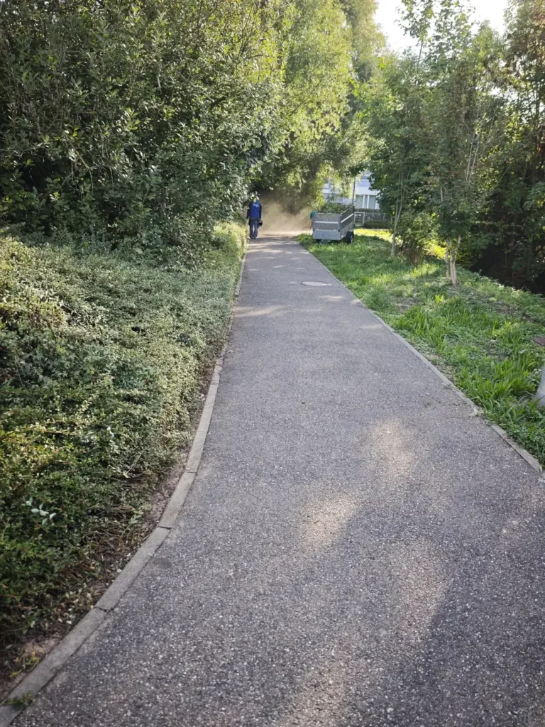 Freigeschnittener Fußweg nach der Grünpflege, Mitarbeiter bei der Reinigung