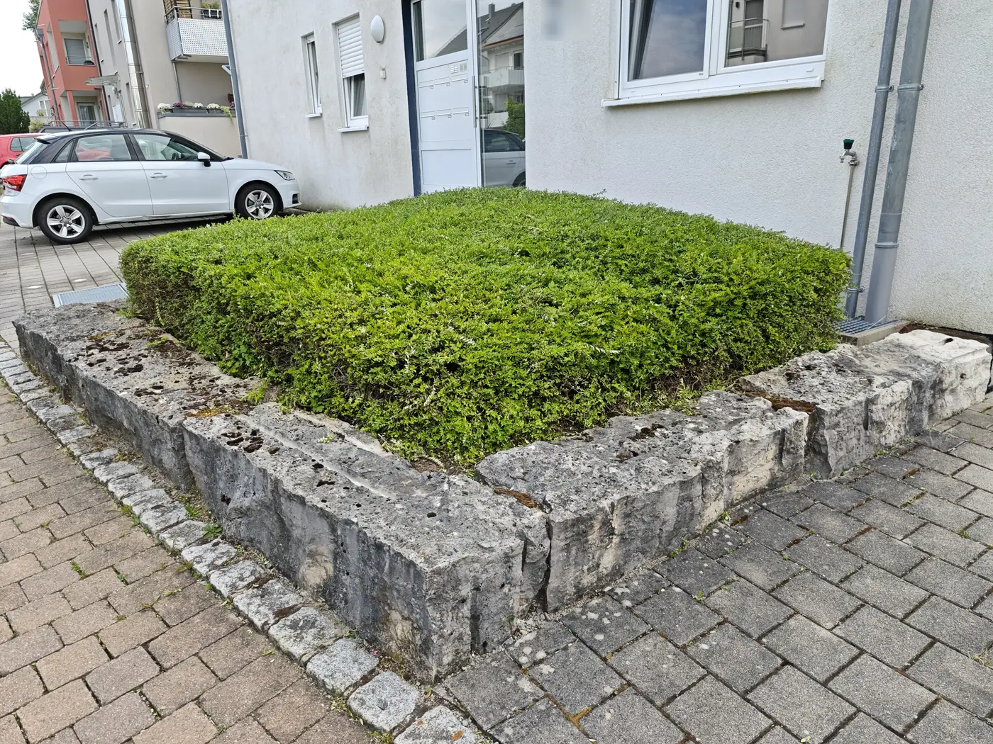 Geschnittene Hecke am Hauseingang nach der Grünpflege