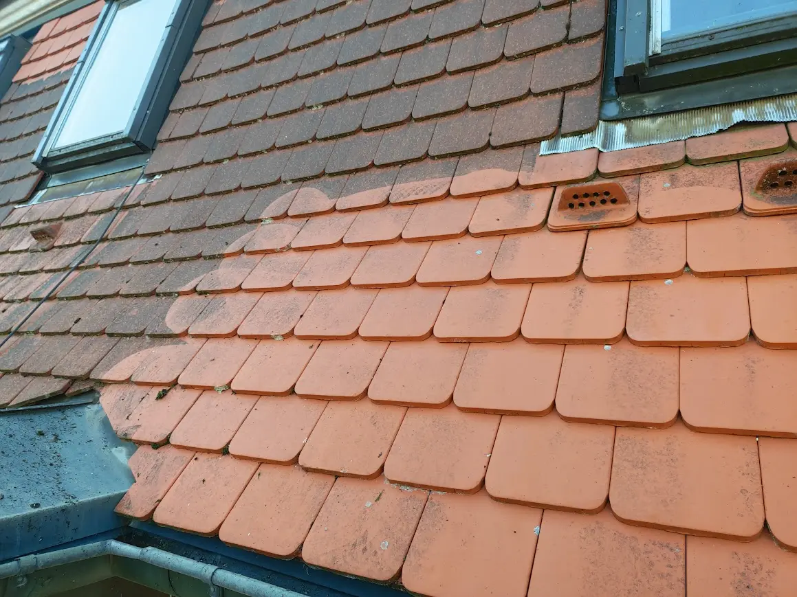 Dachreinigung Heilbronn