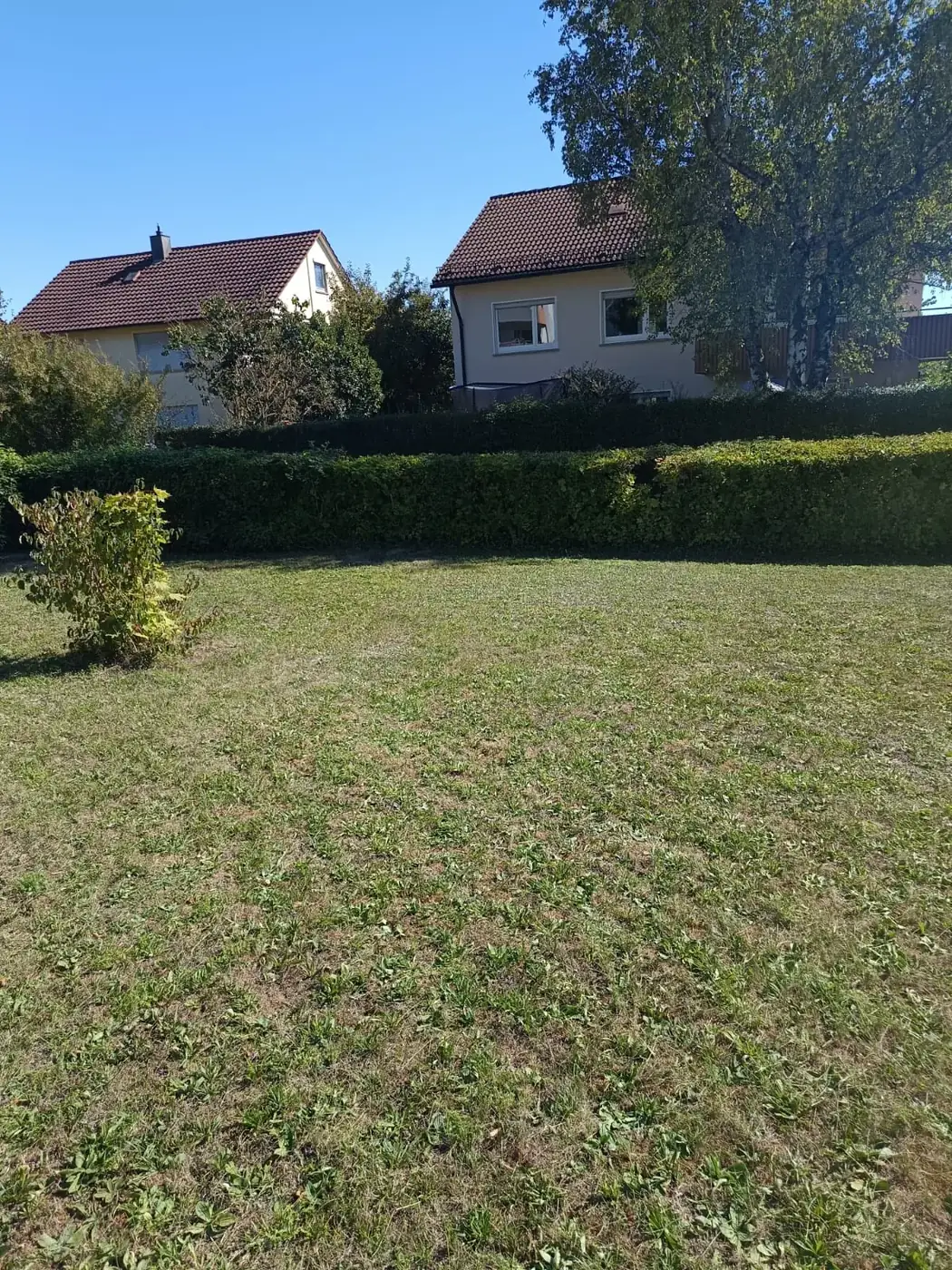 Gemähter Rasen und geschnittene Hecke im Garten einer Wohnanlage