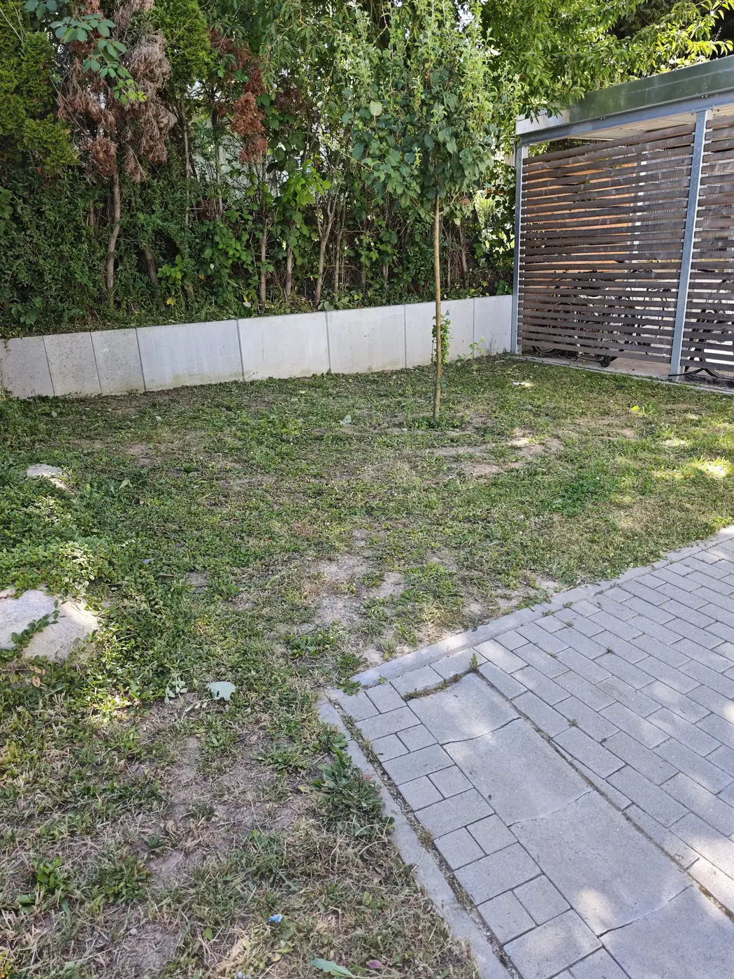 Frisch gemähte Rasenfläche einer Wohnanlage in Heilbronn
