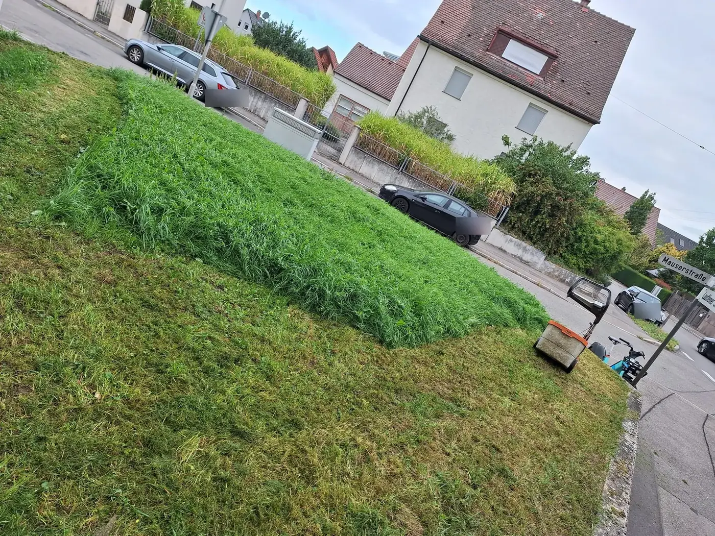 Rasenmähen einer öffentlichen Grünfläche in Heilbronn – halb gemäht, vorher und nachher