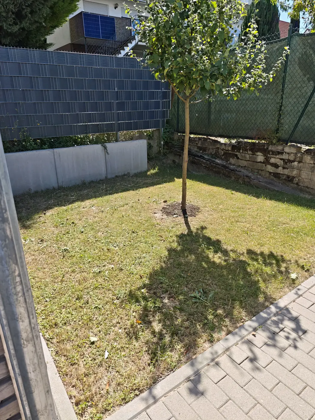 Gepflegter kleiner Garten mit Baum nach der Rasenpflege