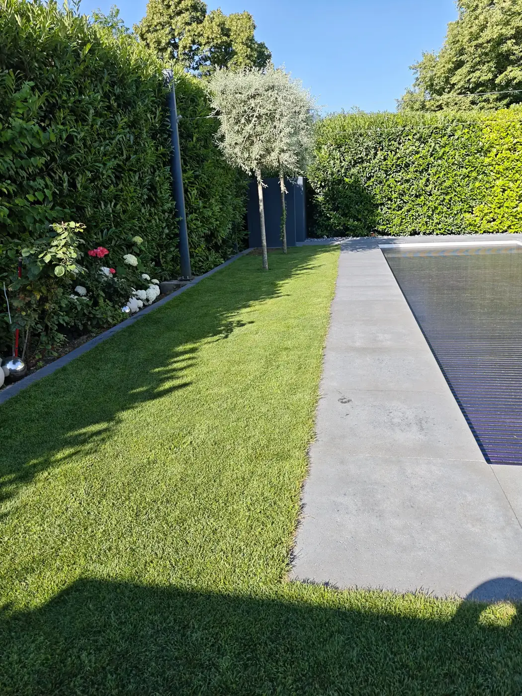Gepflegter Rasen und Hecke in einem Privatgarten mit Pool