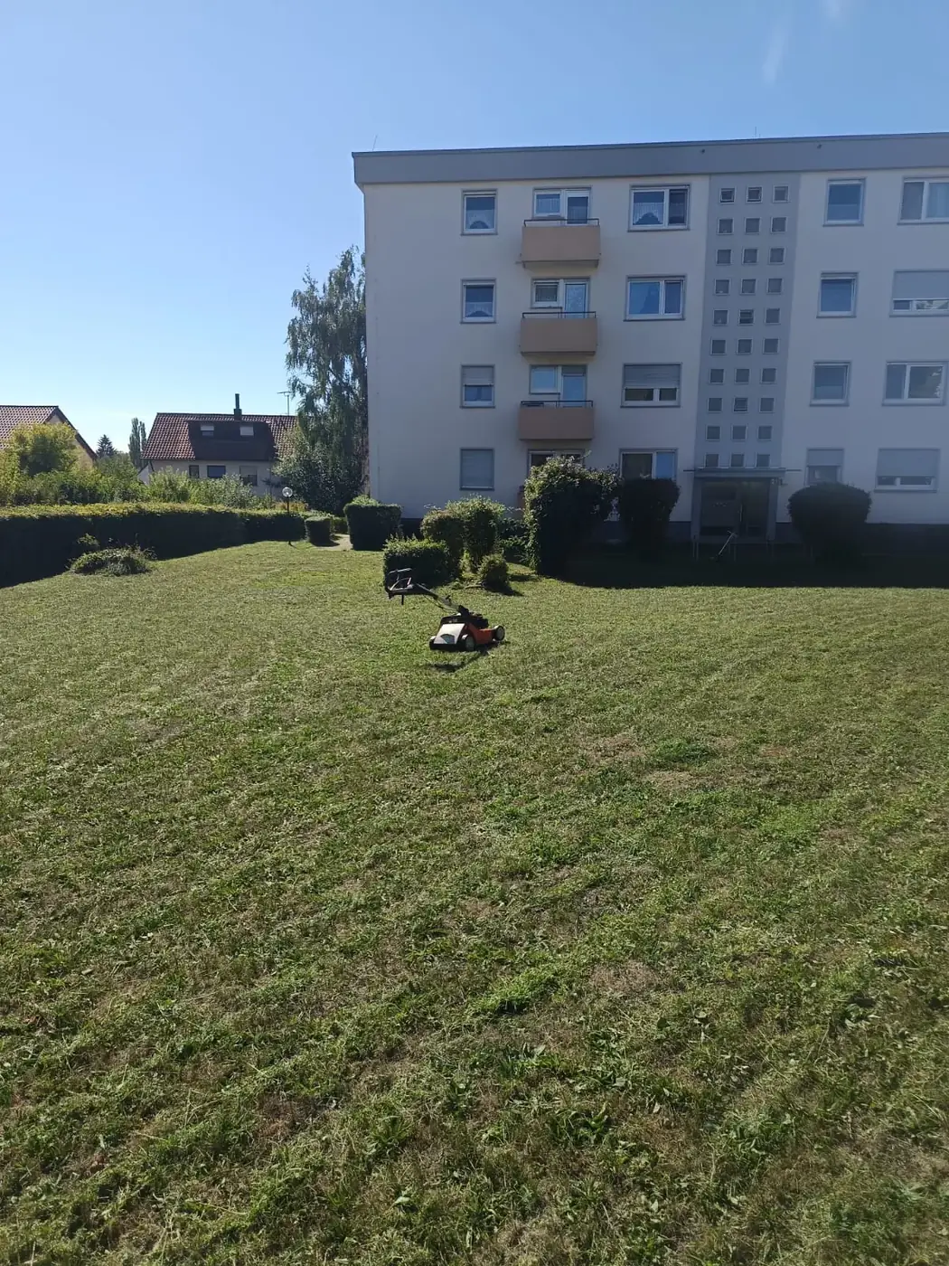 Frisch gemähte Rasenfläche einer Wohnanlage in Heilbronn